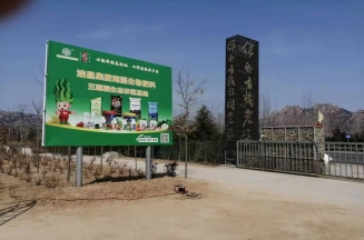 山東潔晶集團總裁、市人大代表林成彬建言日照茶產(chǎn)業(yè)提質(zhì)增效